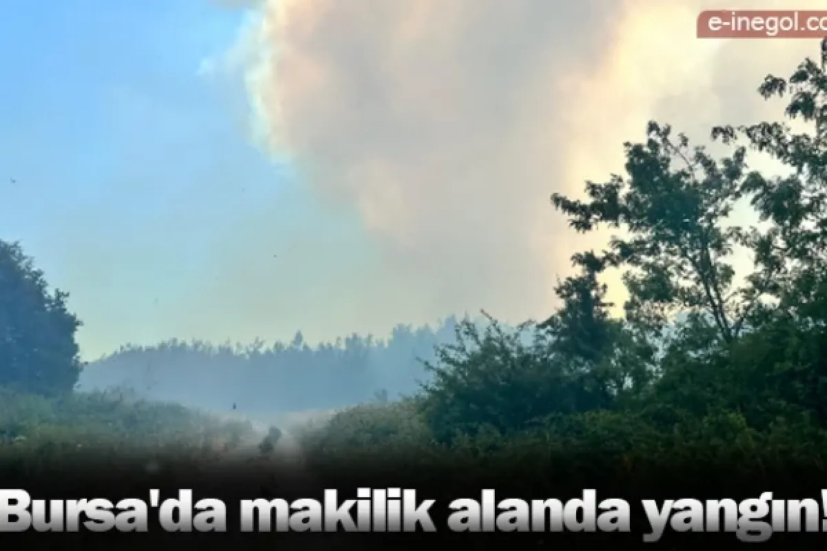 Bursa'da makilik alanda yangın!