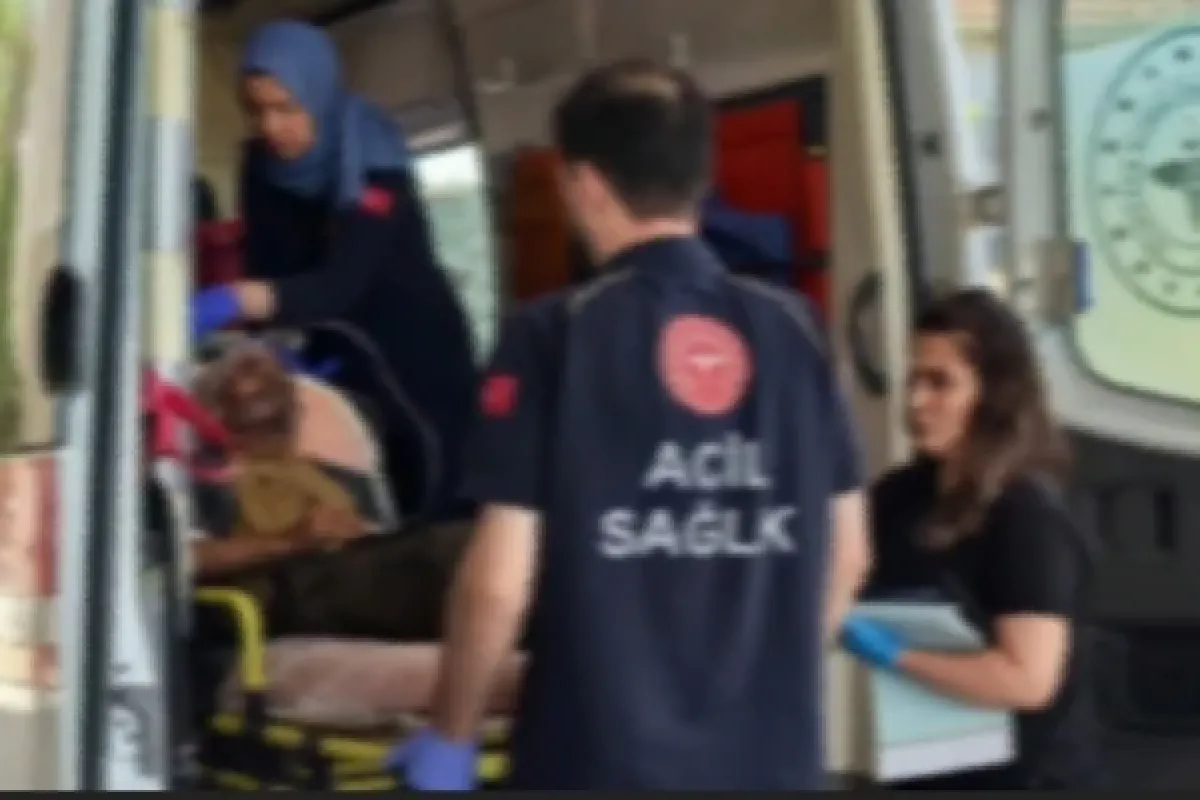 Kaza yaptı hastane yerine eve gitti...