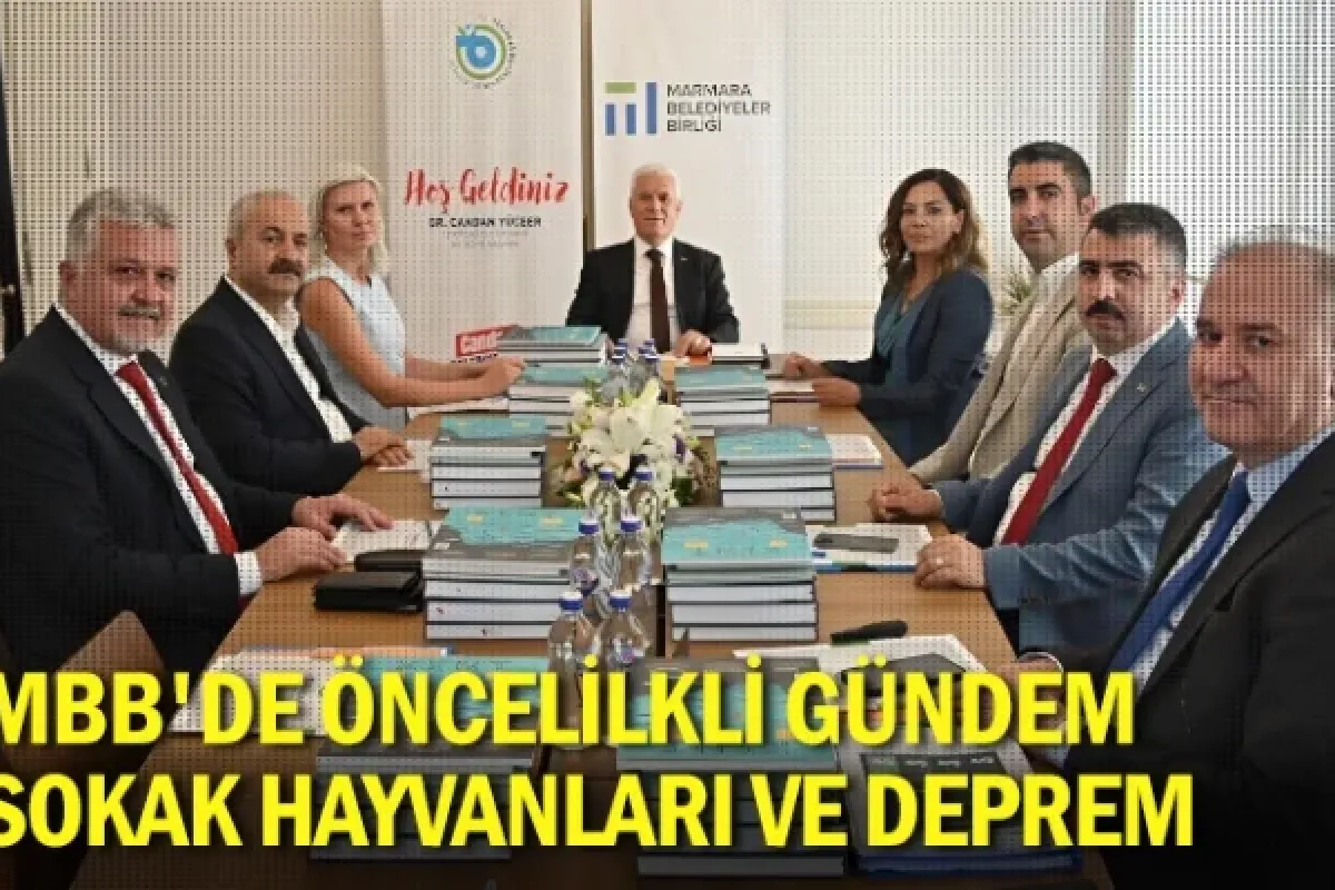 MBB'de öncelilkli gündem sokak hayvanları ve deprem