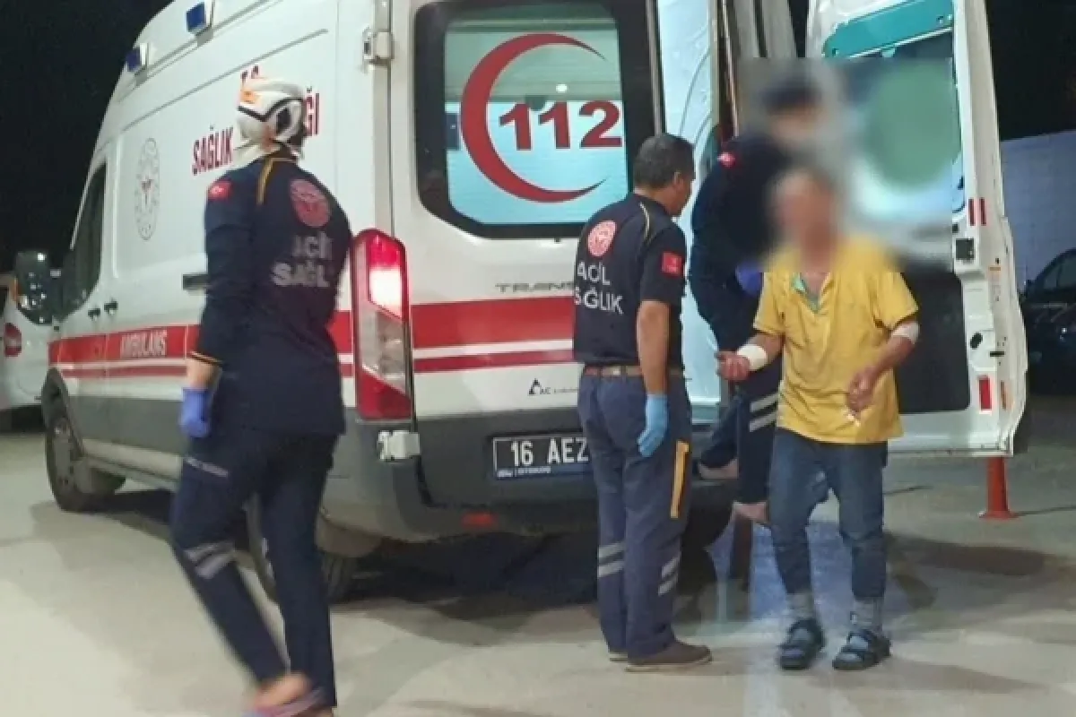 Sevmek istediği köpek hastanelik etti!