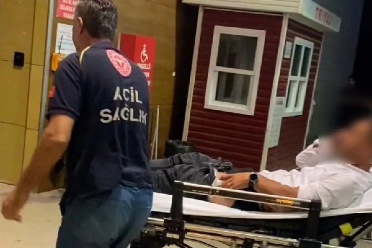 Kavgayı ayırmak isterken hastanelik oldu