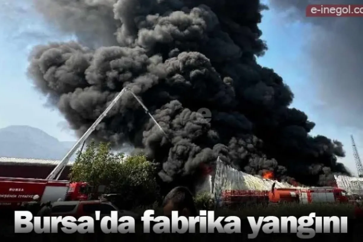 Bursa'da fabrika yangını
