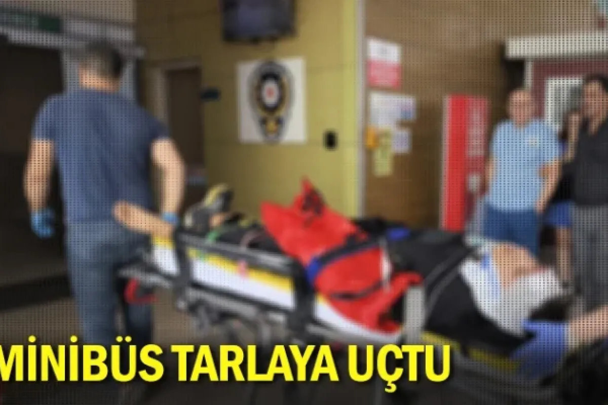 Minibüs tarlaya uçtu