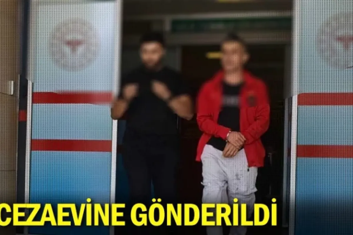 Cezaevine gönderildi