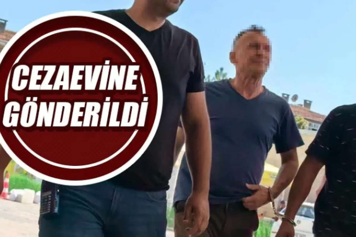 Cezaevine gönderildi