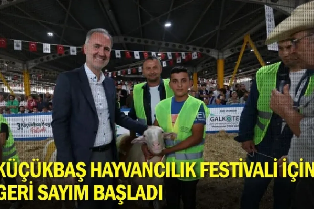 Küçükbaş hayvancılık festivali için geri sayım başladı
