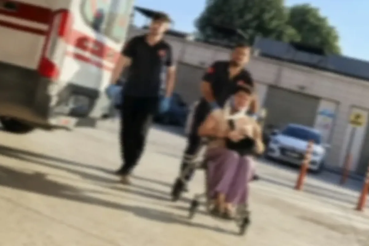 Vicdansız sürücü çarpıp kaçtı