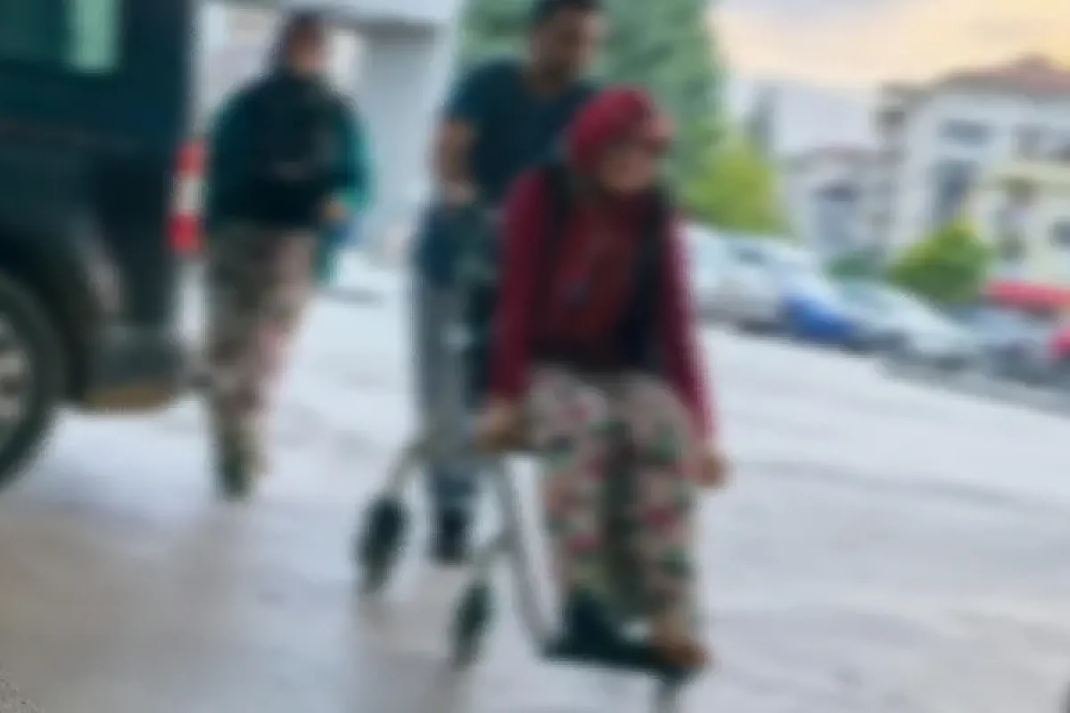 Erik ağacından düştü