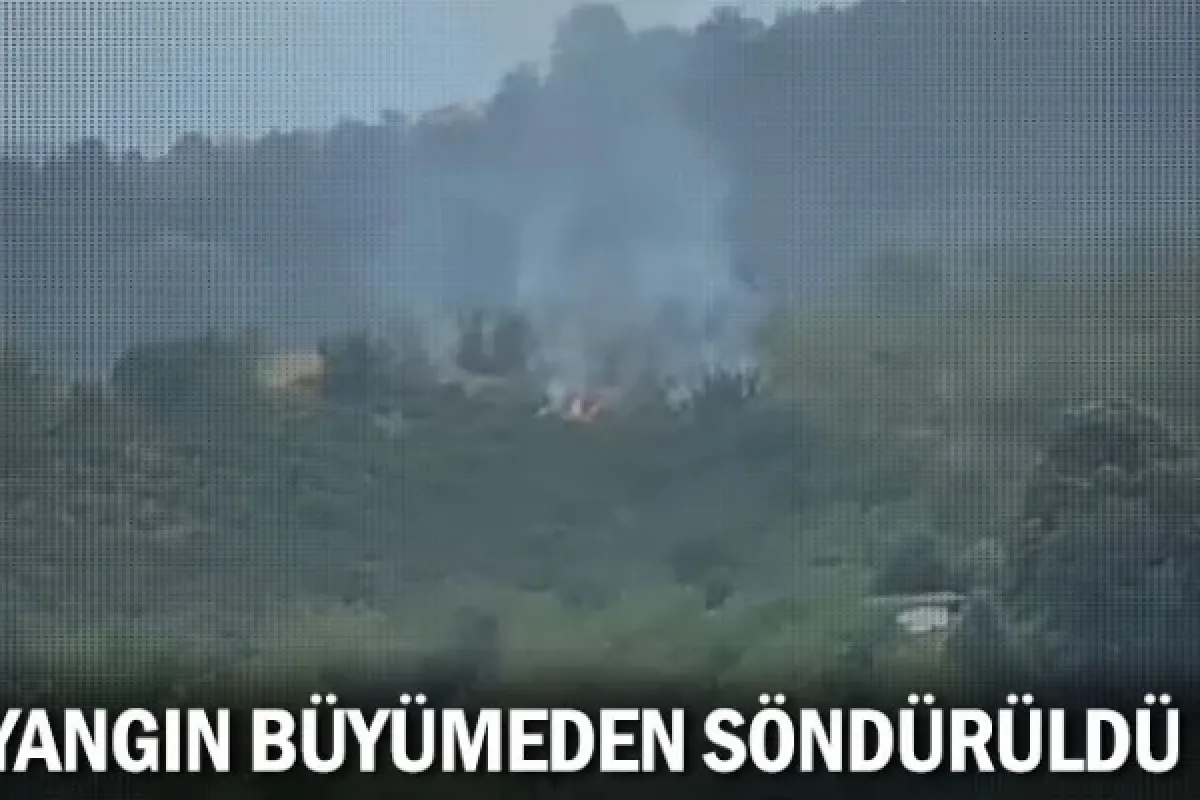 Yangın büyümeden söndürüldü
