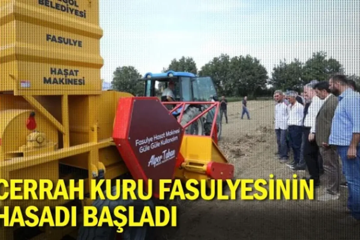 Cerrah Kuru Fasulyesinin hasadı başladı