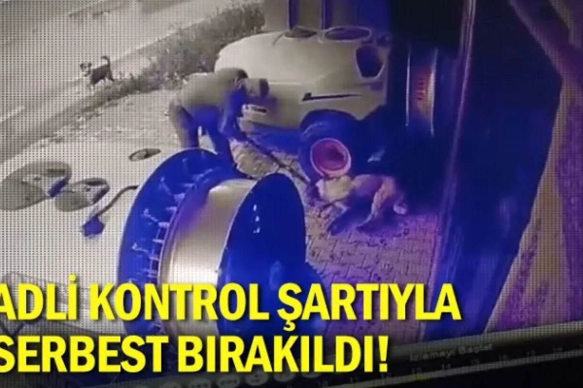 Adli kontrol şartıyla serbest bırakıldı
