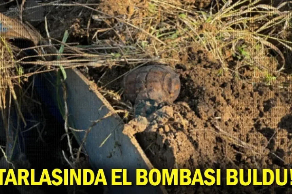 Tarlasında el bombası buldu!