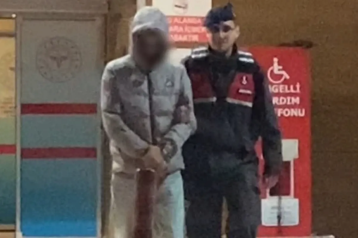 Cezaevine gönderildi