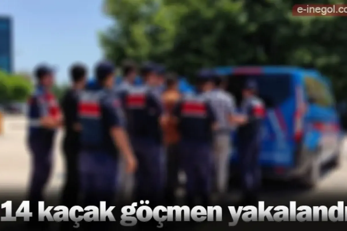14 kaçak göçmen yakalandı
