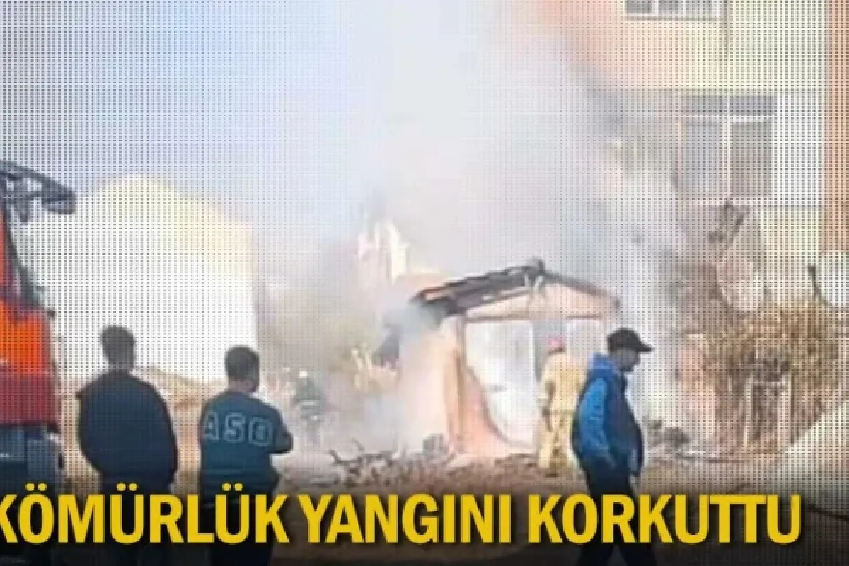 Kömürlük yangını korkuttu
