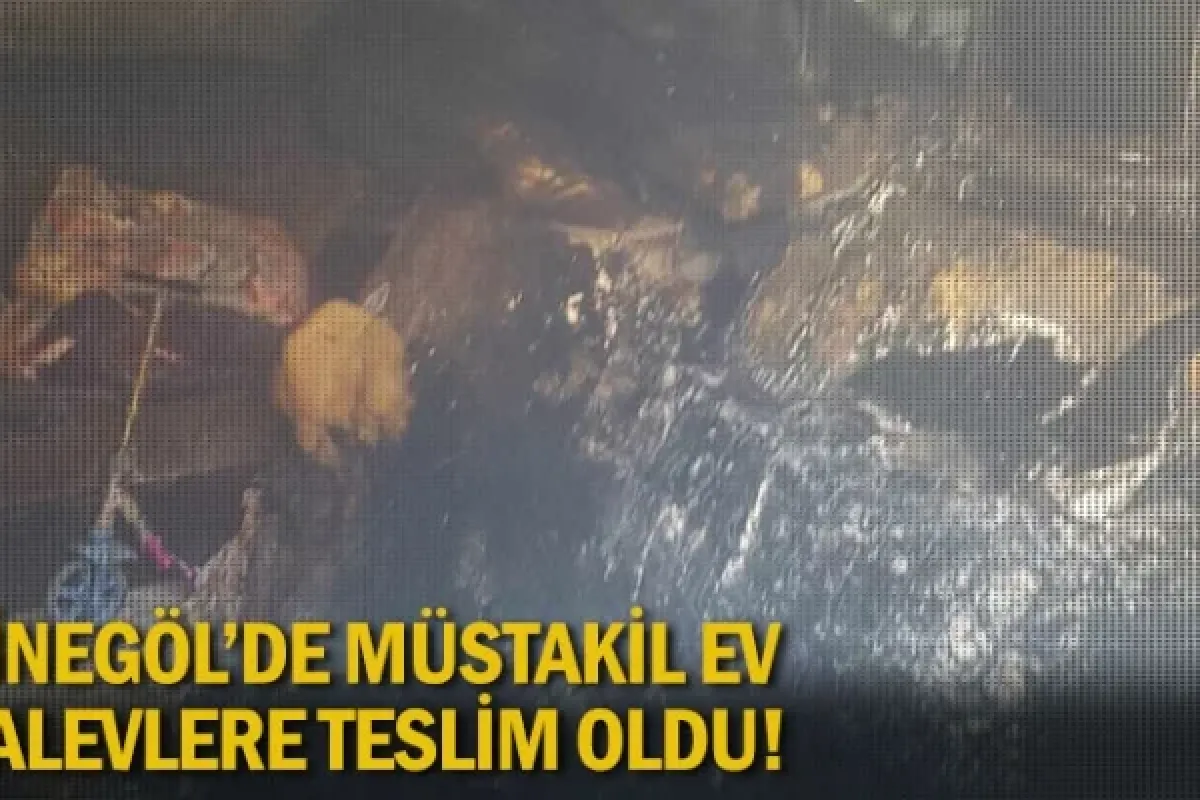 İnegöl'de müstakil ev alevlere teslim oldu
