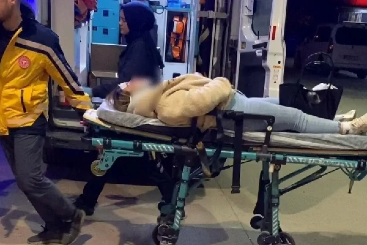 İnegöl'de köpeklerin saldırdığı kadın hastanelik oldu!