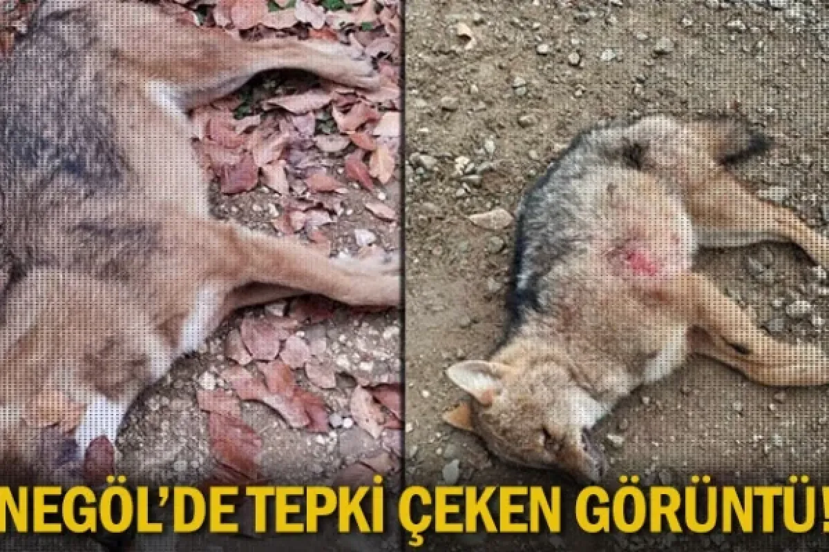 İnegöl'de tepki çeken görüntü!