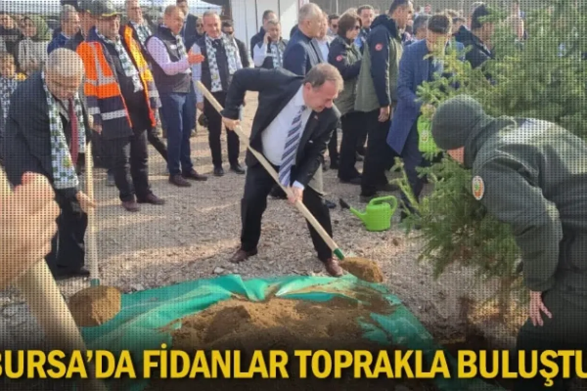 Bursa’da fidanlar toprakla buluştu