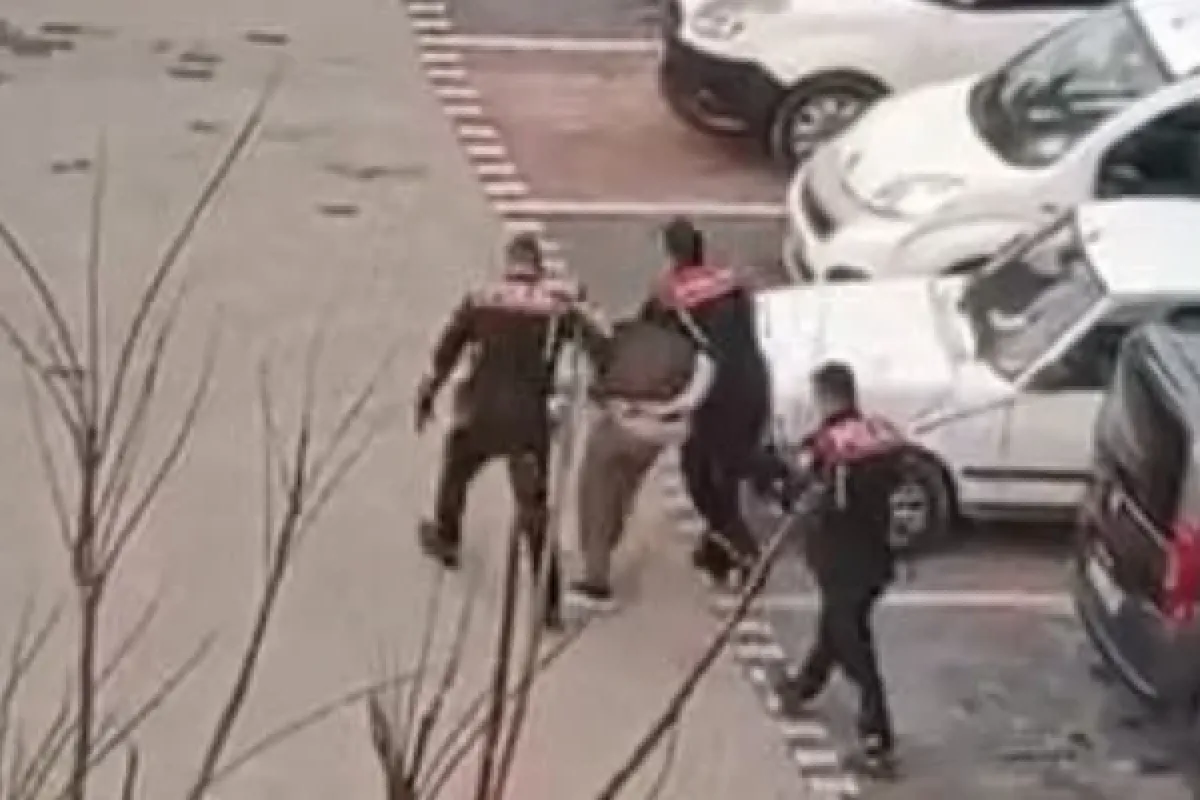 İnegöl'de yunuslar göz açtırmıyor!