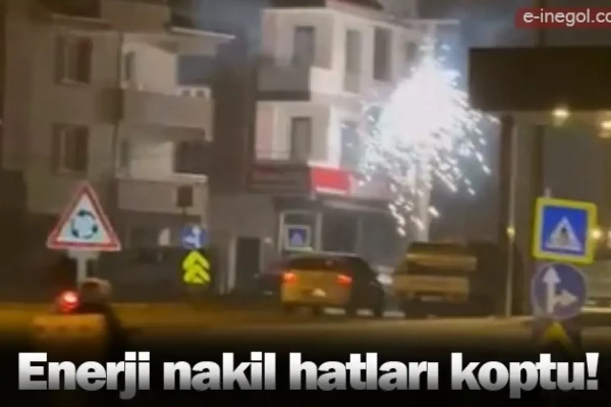 Enerji nakil hatları koptu!