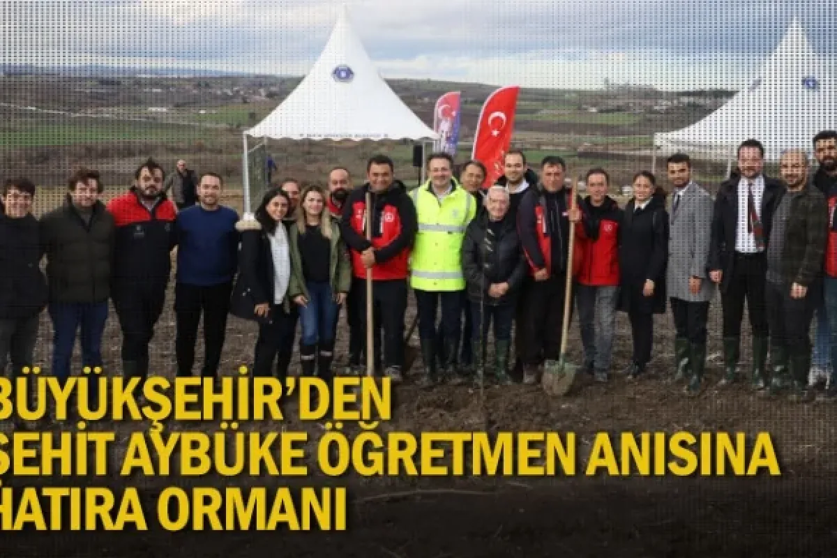 Büyükşehir’den şehit Aybüke öğretmen anısına hatıra ormanı