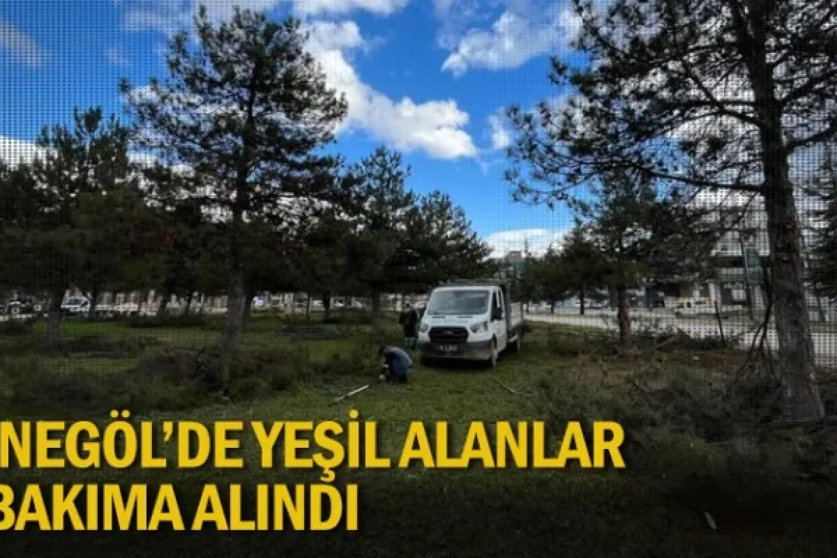 İnegöl'de yeşil alanlar bakıma alındı