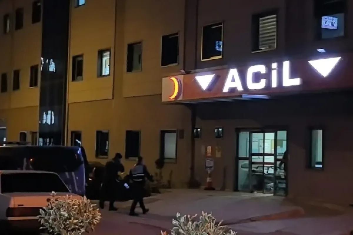 Tüm müdahalelere rağmen kurtarılamadı...
