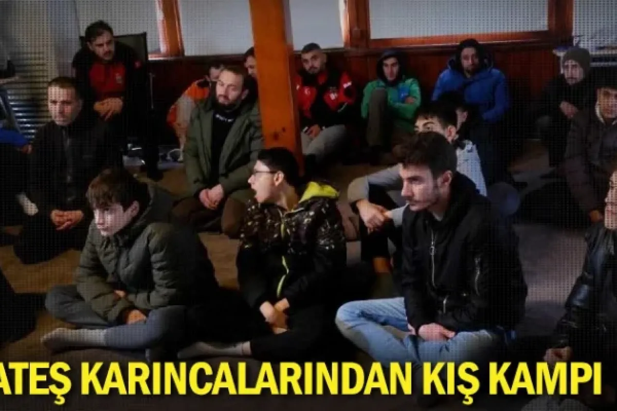 Ateş Karıncalarından Kış Kampı