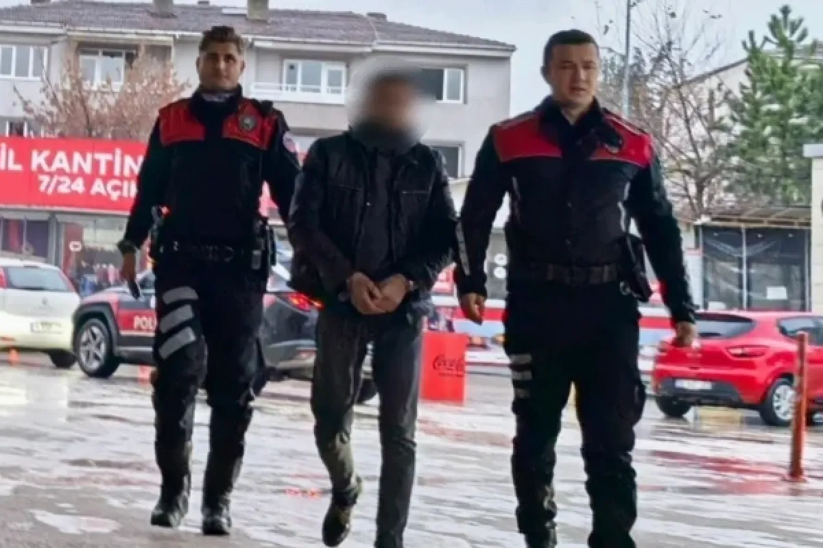 Yunuslar yakaladı!