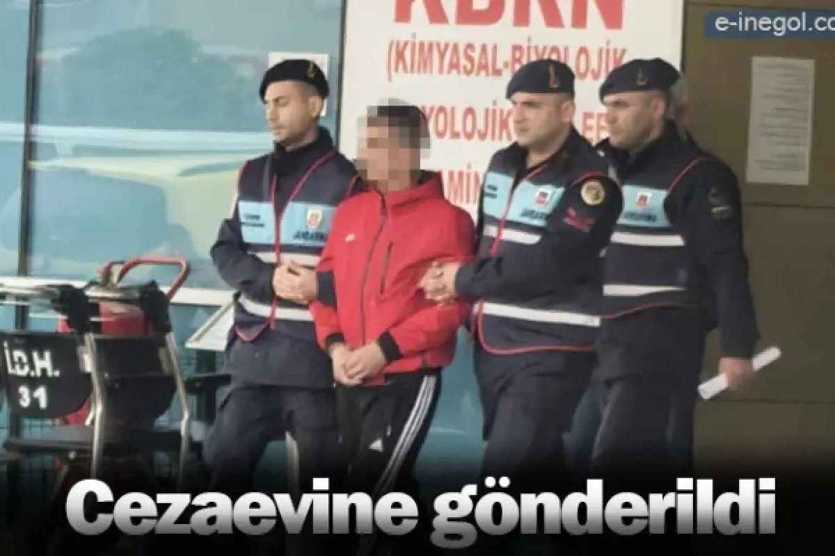 Cezaevine gönderildi