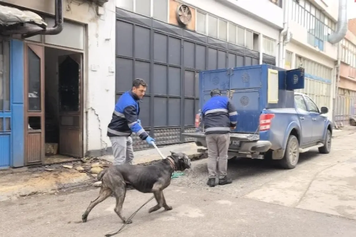 Ekipler seferber oldu 