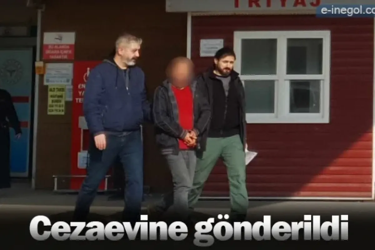 Cezaevine gönderildi