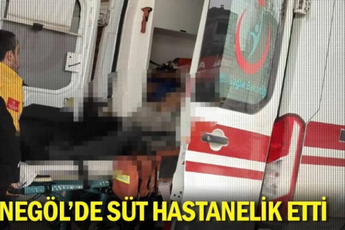 İnegöl'de Süt Hastanelik Etti