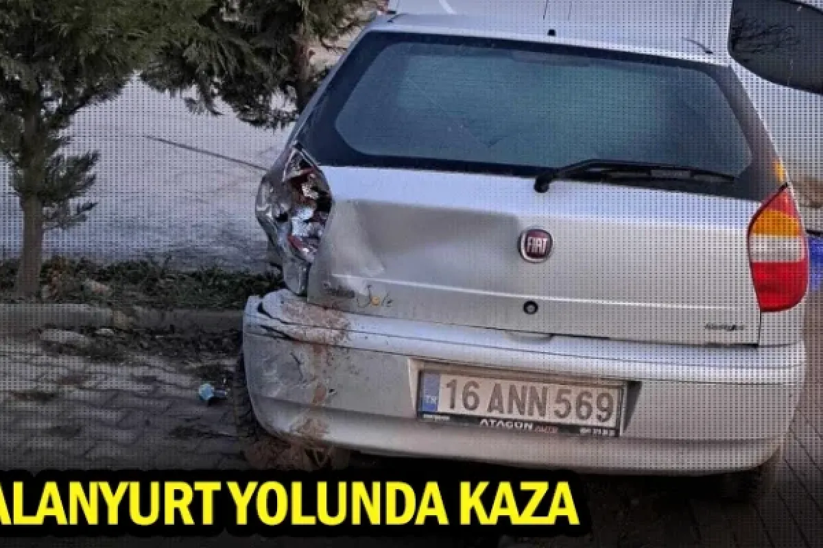 Alanyurt yolunda kaza