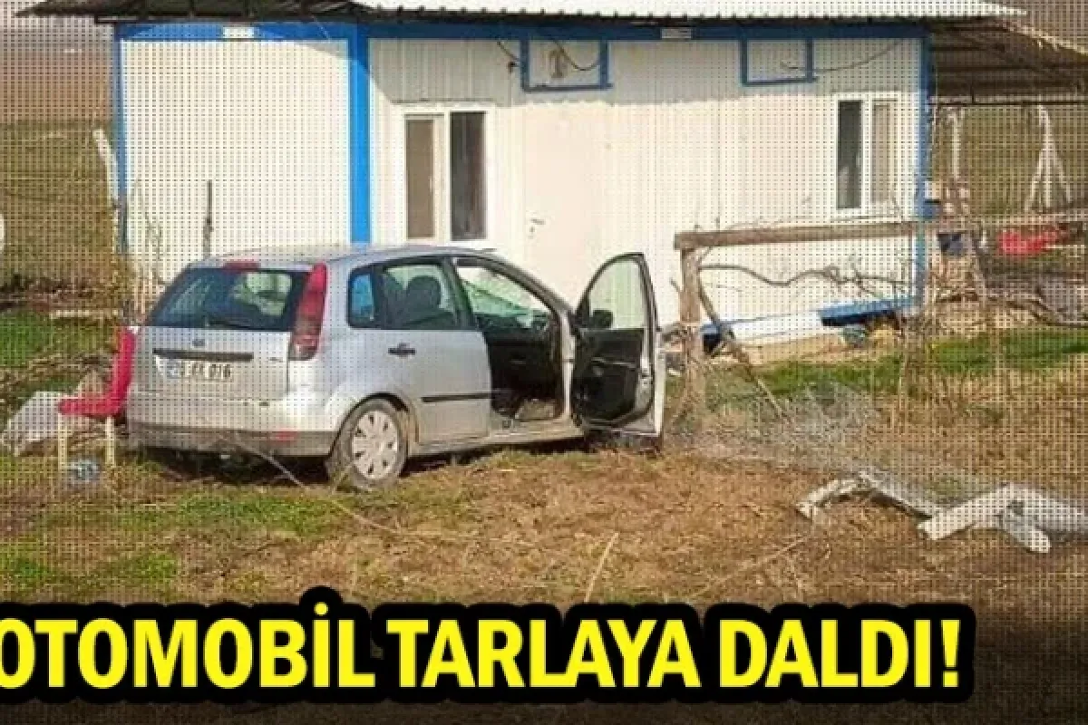 Otomobil tarlaya daldı!