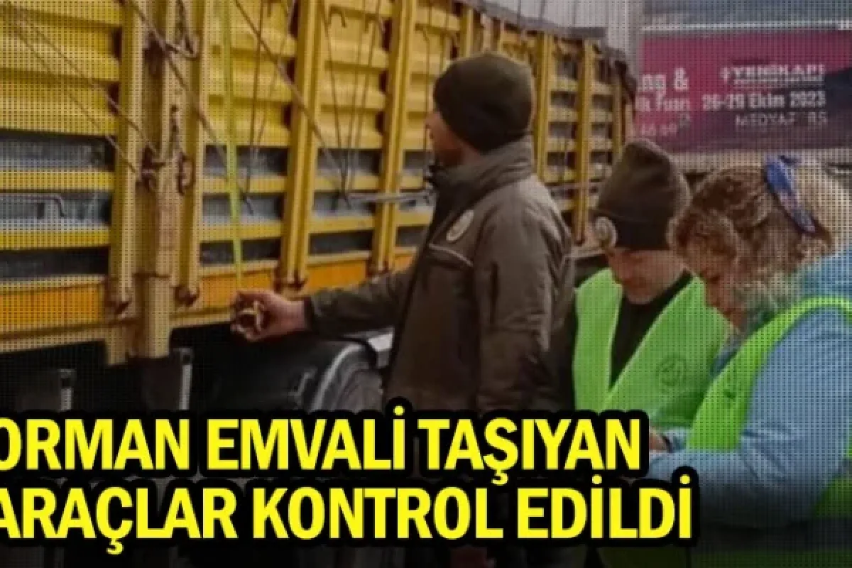 Orman emvali taşıyan araçlar kontrol edildi