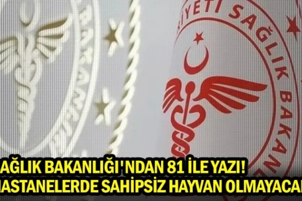 Sağlık Bakanlığı'ndan 81 ile yazı! Hastanelerde sahipsiz hayvan olmayacak