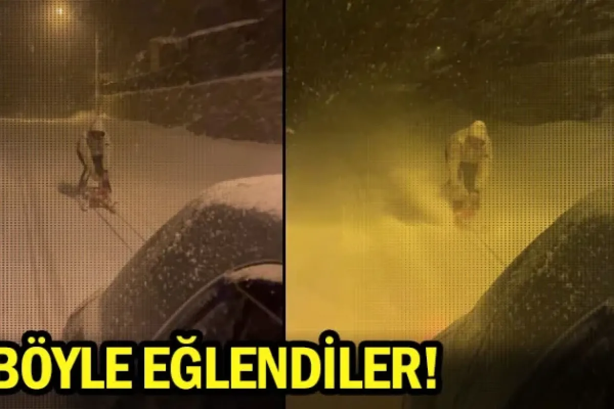 Böyle eğlendiler!