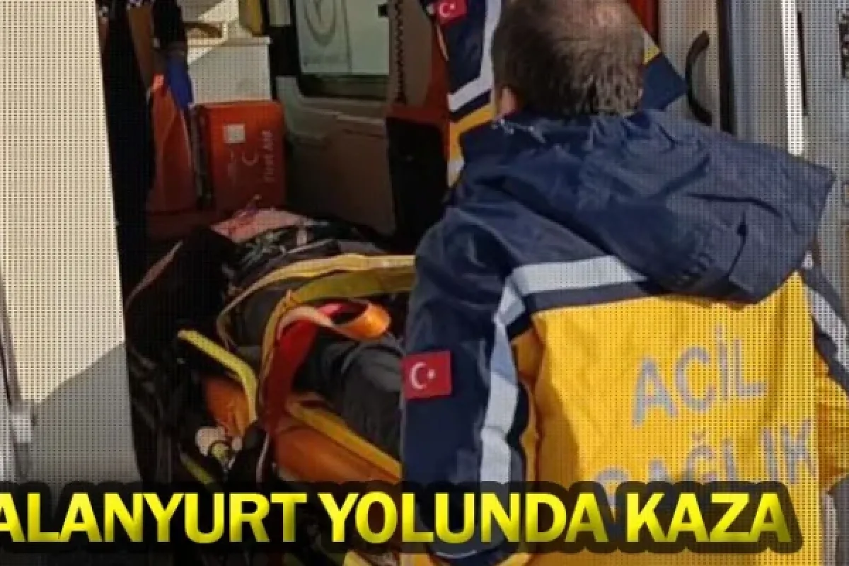 Alanyurt yolunda kaza