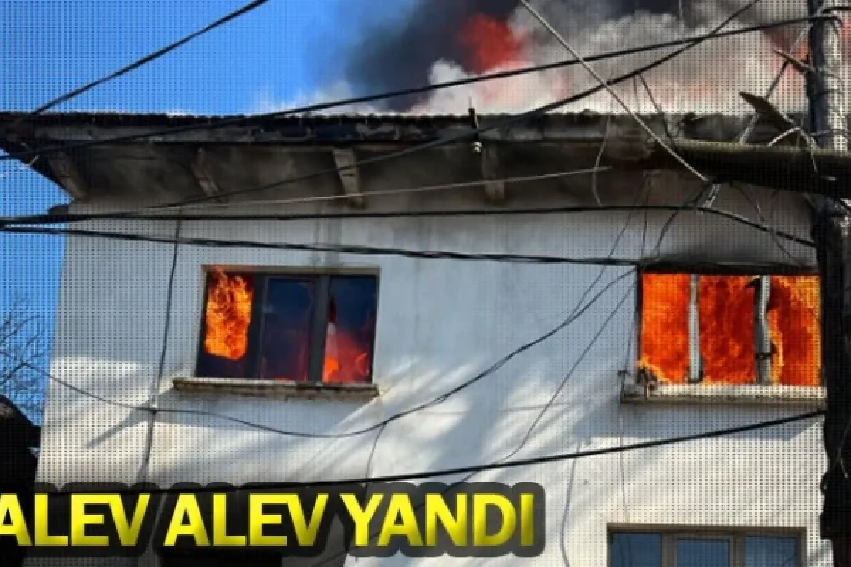 Alev alev yandı