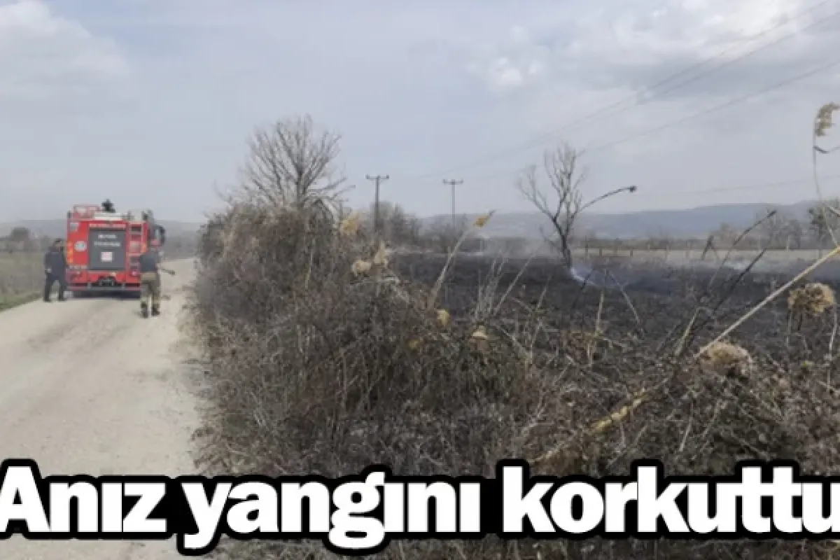 Anız yangını korkuttu