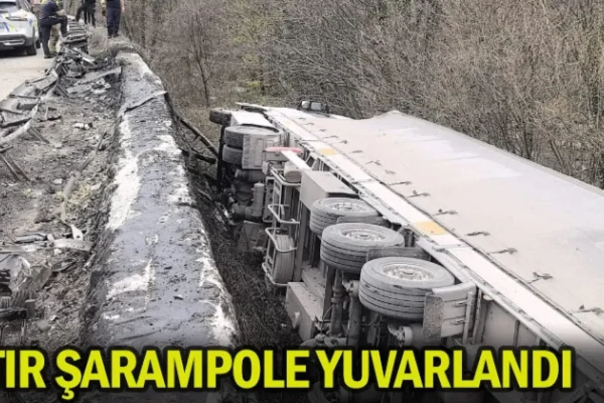 TIR şarampole yuvarlandı