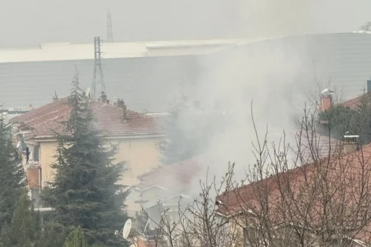Odunluk yangını korkuttu!