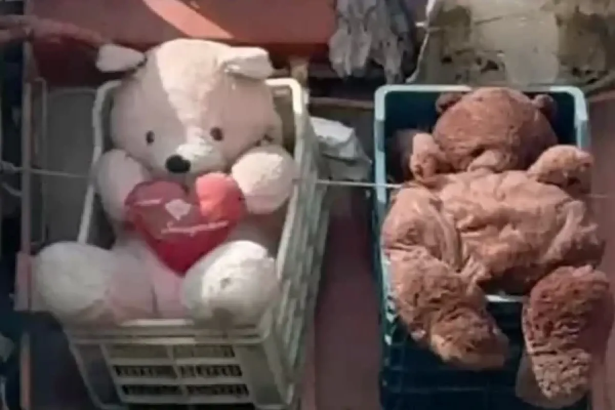 Atmaya kıyamadılar!