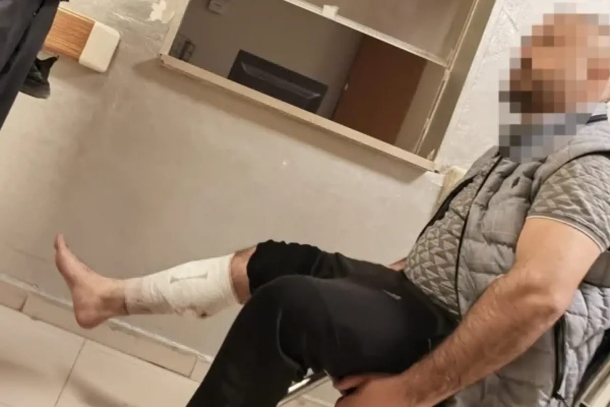 Köpek saldırısı hastanelik etti!