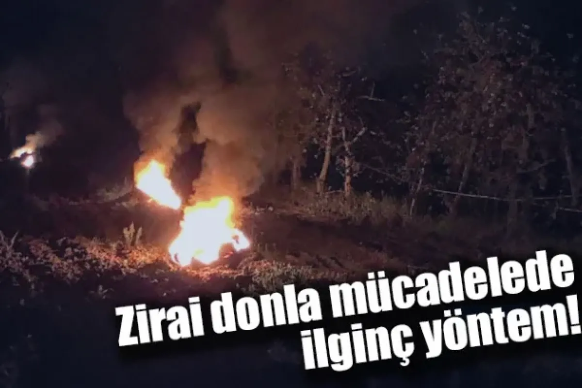 Zirai donla mücadelede ilginç yöntem!