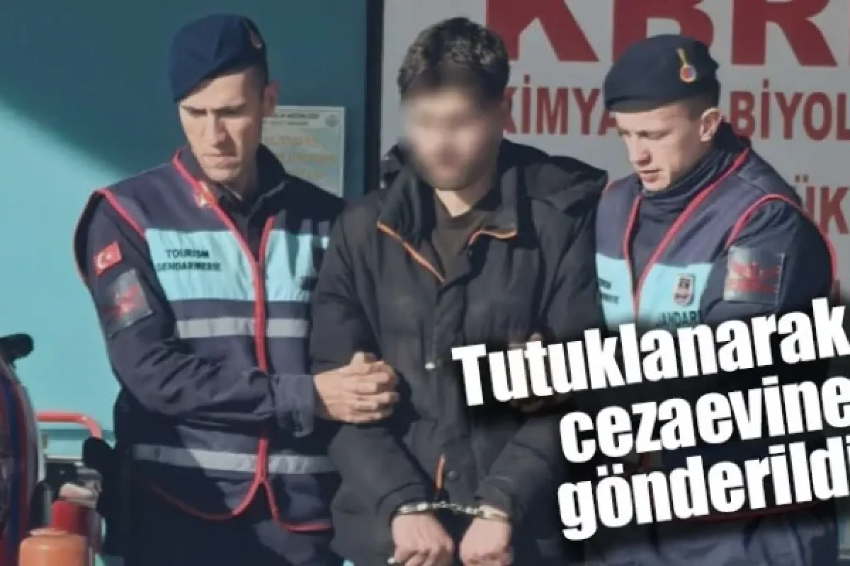 Tutuklanarak cezaevine gönderildi