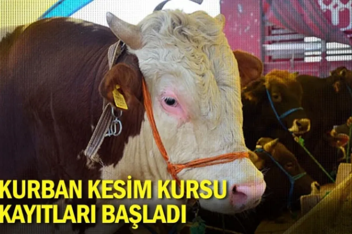Kurban Kesim Kursu Kayıtları Başladı