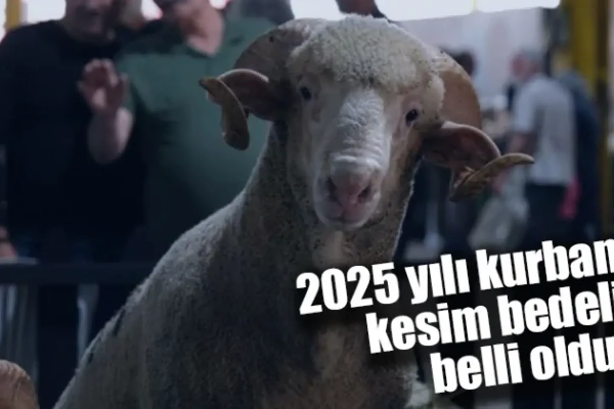2025 yılı kurban kesim bedeli belli oldu!